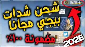 الكمية الأكبر.. شحن شدات ببجي موبايل 2025 بشكل آمن وسريع عبر الإيدي 1